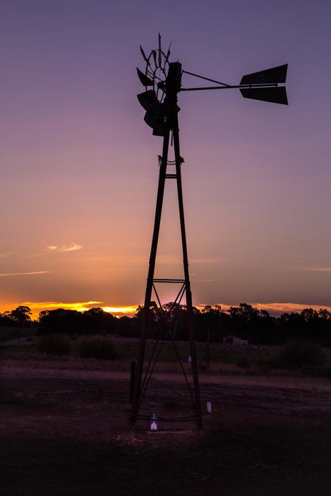 Bukirk Glamping & Fancy Coops - Holiday Find 31
