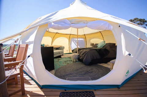 Bukirk Glamping & Fancy Coops - Holiday Find 14