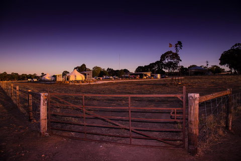 Bukirk Glamping & Fancy Coops - Holiday Find 33