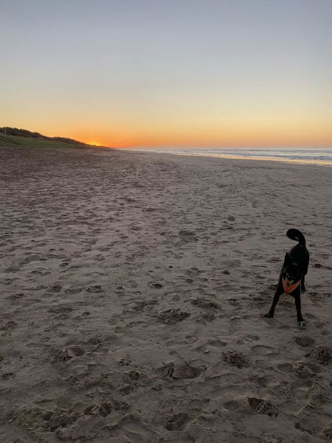 Goolwa Marinerâ€™s Cottage - Free Wifi And Pet Friendly - Centrally Located In Historic Region - Holiday Find 27