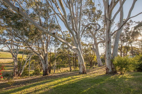 Discovery Parks - Hahndorf - Holiday Find 4