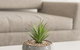 Ther-Rich Elegant 1BR Apartment In Walkerville - thumb 17