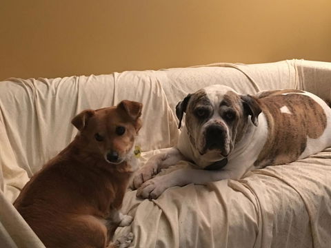 KI Dragonfly Guesthouse - Holiday Find 34