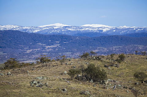 Eagles Range - Holiday Find 14