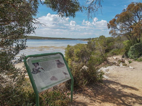 Willygunyah - Holiday Find 31