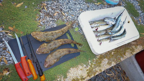 Willygunyah - Holiday Find 30