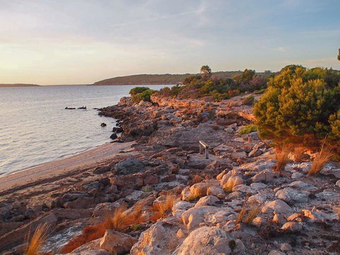 Willygunyah - Holiday Find 29