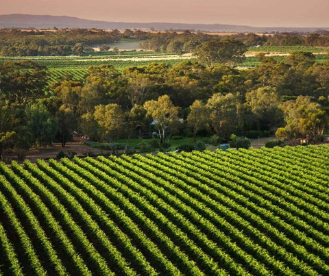 The Reserve Barossa Valley - Holiday Find 1