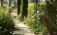 The Reserve Barossa Valley - thumb 18