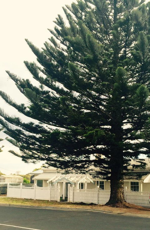 Railway Cottage In Beachport - Holiday Find 13