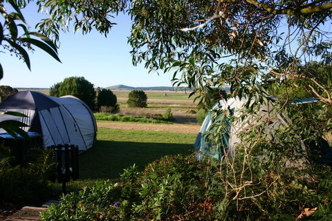 Millicent Hillview Caravan Park - Holiday Find 43