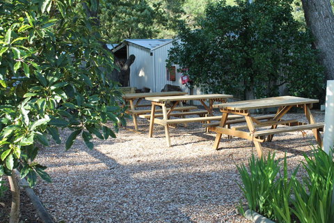 Millicent Hillview Caravan Park - Holiday Find 9