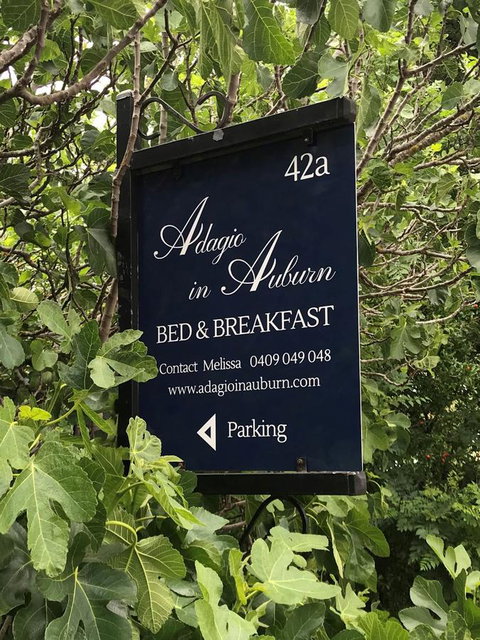 Adagio In Auburn - Holiday Find 4
