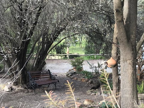 Adagio In Auburn - Holiday Find 17