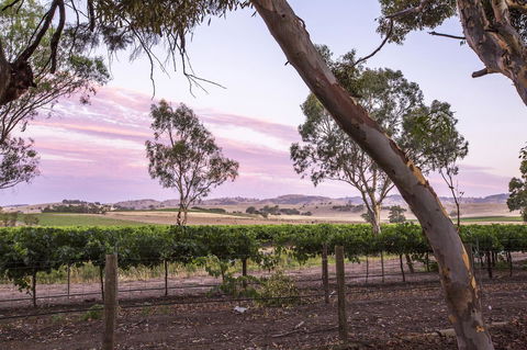 Jasmine\'s Barossa Valley Cottage - Holiday Find 19