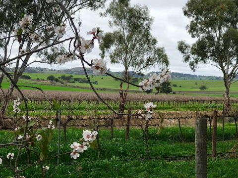 Jasmine\'s Barossa Valley Cottage - Holiday Find 20