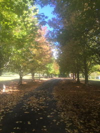 Book Bonville Accommodation Vacations Holiday Find Holiday Find