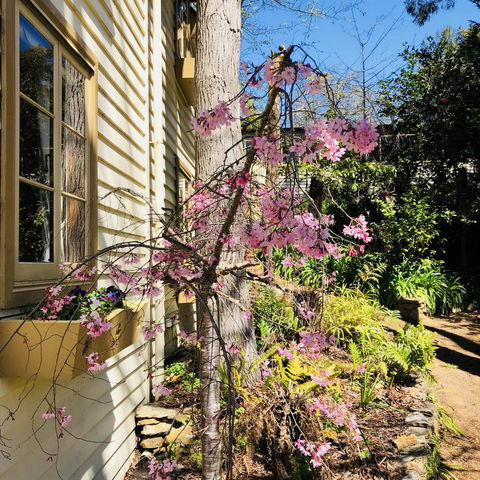 Aldgate Creek Cottage Bed And Breakfast - Holiday Find 19