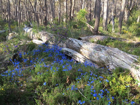 Simala Retreat - Holiday Find 1