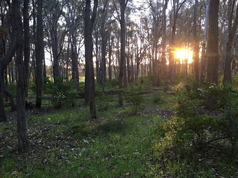 Simala Retreat - Holiday Find 4