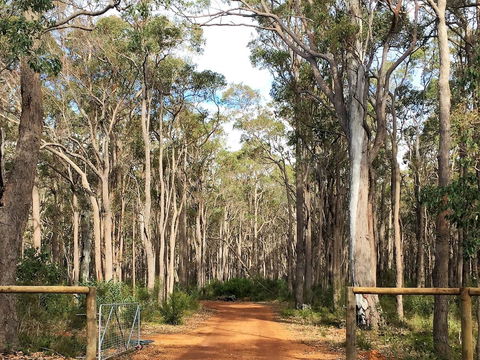 Simala Retreat - Holiday Find 6