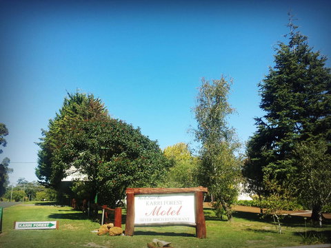 Karri Forest Motel - Holiday Find 29