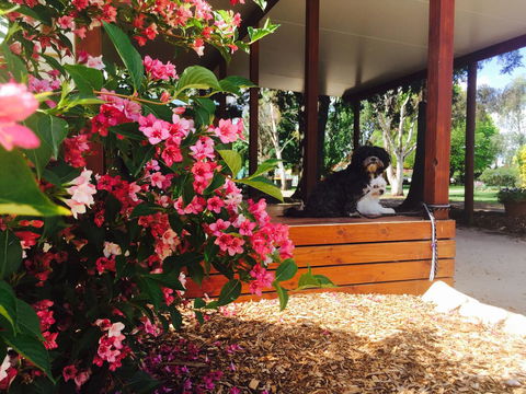 Armidale Tourist Park - Holiday Find 34