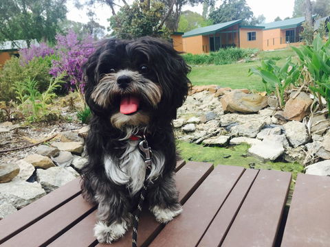 Armidale Tourist Park - Holiday Find 32