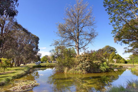 Armidale Tourist Park - Holiday Find 24