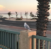 Shark Bay Seafront Apartments - Holiday Find