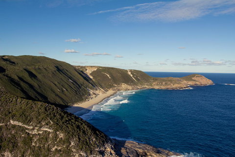 Albany Motel & Apartments - Holiday Find 21