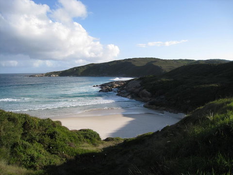 Albany Motel & Apartments - Holiday Find 23