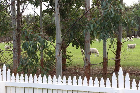 Sapphire Chalets, Augusta - Holiday Find 9
