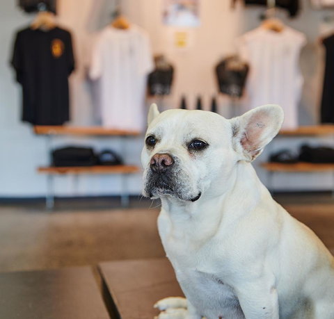 Nomads Byron Bay Backpackers - Holiday Find 24