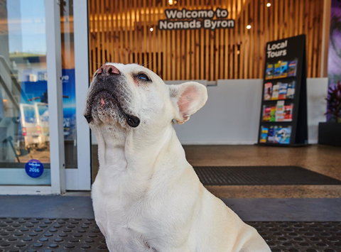 Nomads Byron Bay Backpackers - Holiday Find 22