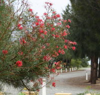 The Heights Bed  Breakfast - Holiday Find