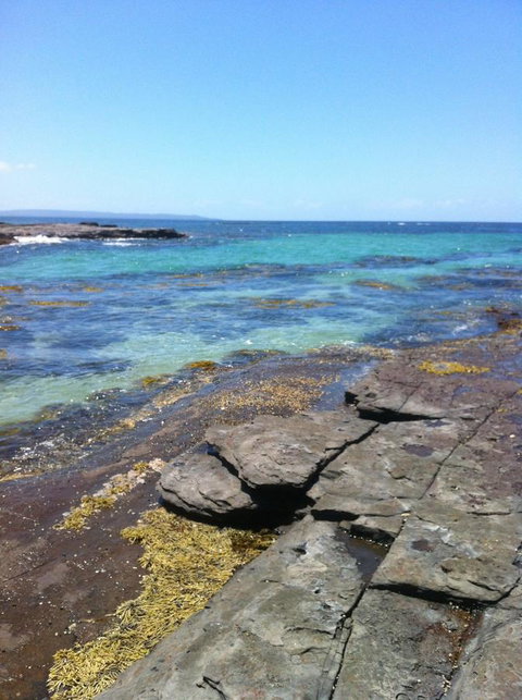 Jetz Bungalow - Holiday Find 9