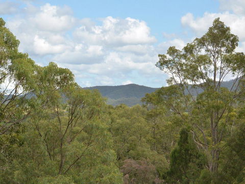 Villa Executive 2br Cypress DS Located Within Cypress Lakes Resort - Holiday Find 8