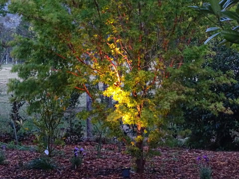 Romanz In The Valley (Luxury B&B) - Holiday Find 30