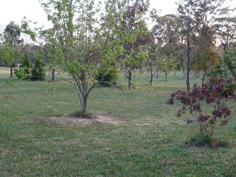 Romanz In The Valley (Luxury B&B) - Holiday Find 32