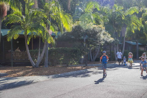 The Palms At Avoca - Holiday Find 14