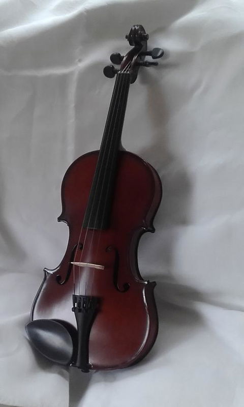 182 Anson Street - Holiday Find 2