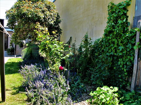 Apple Tree Cottage - Holiday Find 24