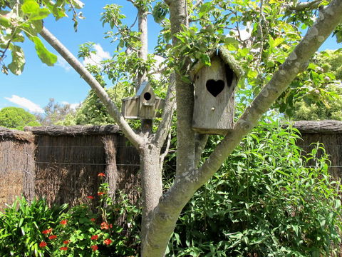 Apple Tree Cottage - Holiday Find 28