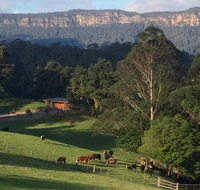 Amaroo Valley Springs - Holiday Find