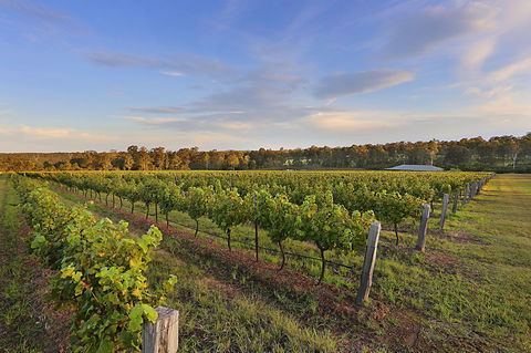 Ironstone Estate Lovedale - Holiday Find 31