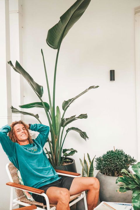 The Baxley Bondi - Holiday Find 42