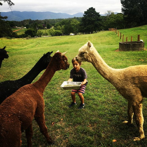 The Lodge Bellingen - Holiday Find 44