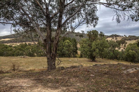 Pound Creek Gallery - Holiday Find 29