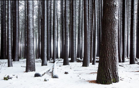 Pound Creek Gallery - Holiday Find 2